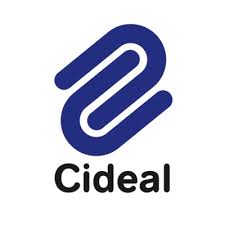 Classic vintage camera collection on wooden surface with film rolls